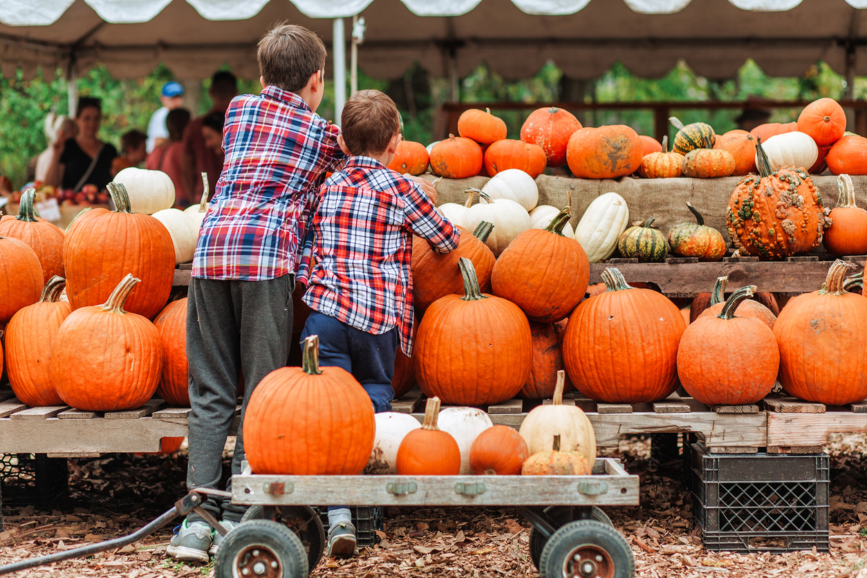 Children visiting a pumpkin patch.